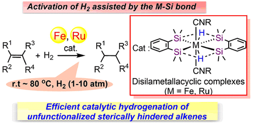 Disilaruthena- and Ferracyclic Complexes Containing Isocyanide Ligands as Effective Catalysts for Hydrogenation of Unfunctionalized Sterically Hindered Alkenes