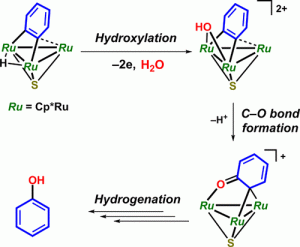Transformation of a μ3-Benzyne Ligand into Phenol on a Cationic Triruthenium Cluster Supported by a μ3-Sulfido Ligand