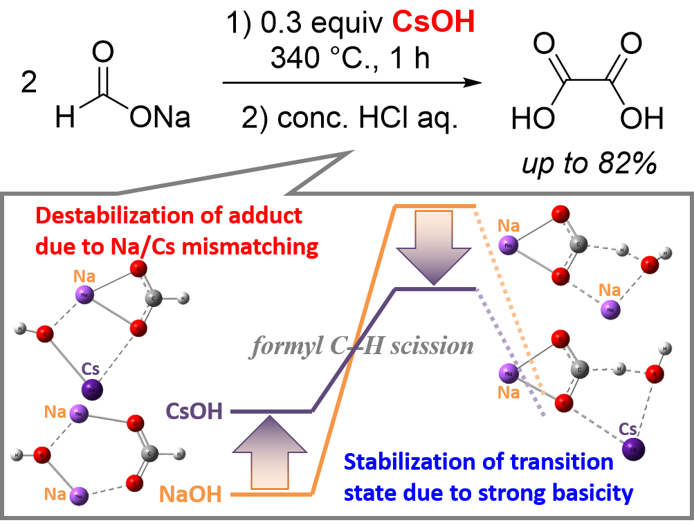 Base-Catalyzed Dehydrogenative Coupling of Formate Anions to Oxalates: Effect of Alkali Metal Cations